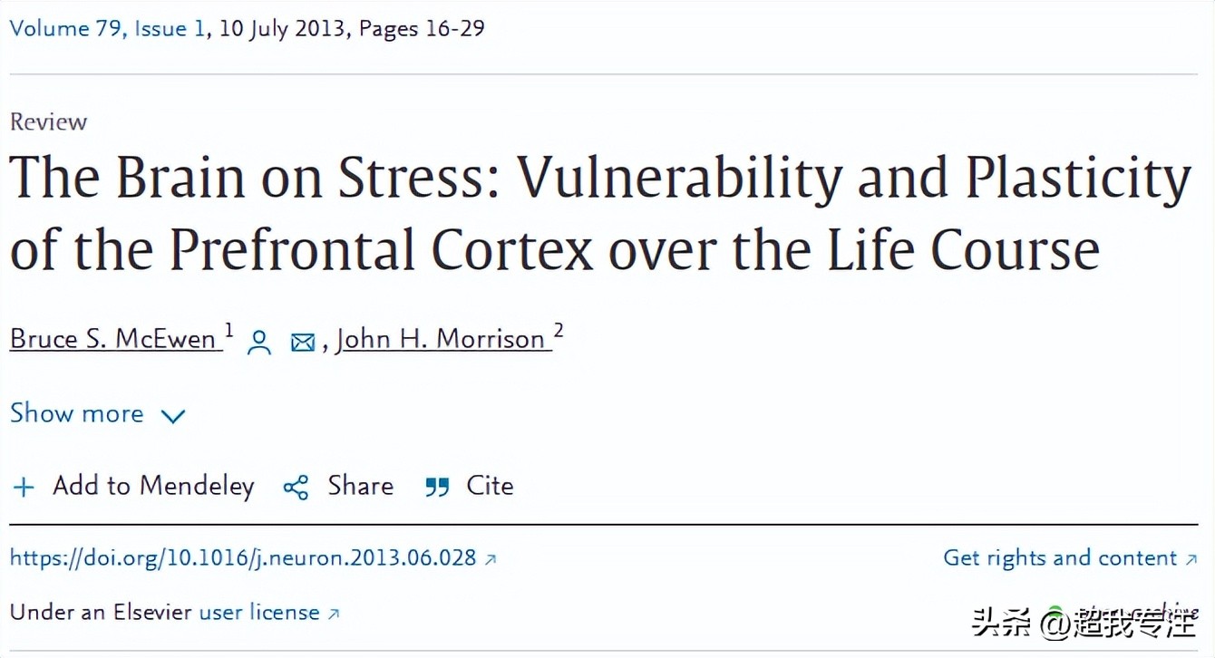 长期压力对大脑的决策力有影响吗,压力是怎么影响你的大脑的