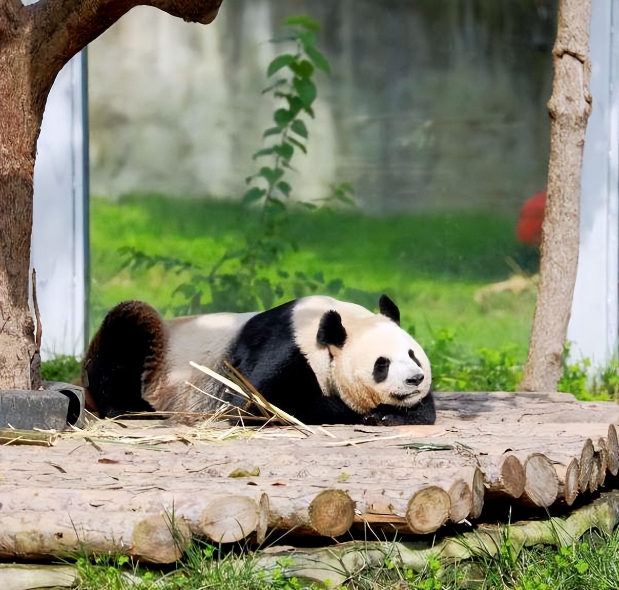 西安旅游学生攻略,西安旅游攻略详细学生