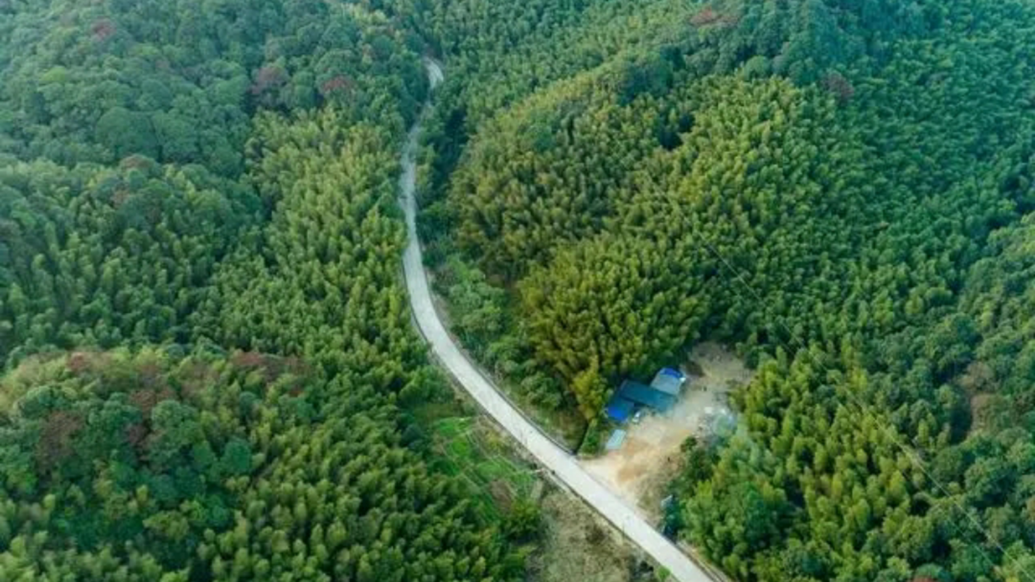 惠州赏梅花地方,惠州惠东梁化镇梅园