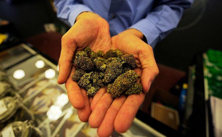 荷兰宣布性合法后遗症,2000年荷兰特殊工作者合法化