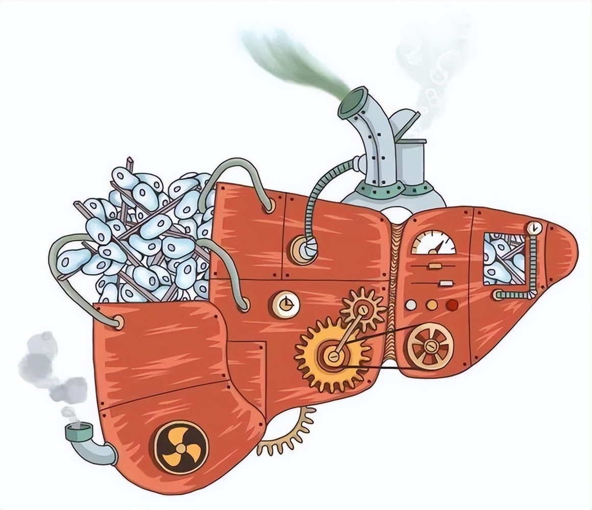 中药对肝损害有什么影响,导致肝损伤的中药有哪些