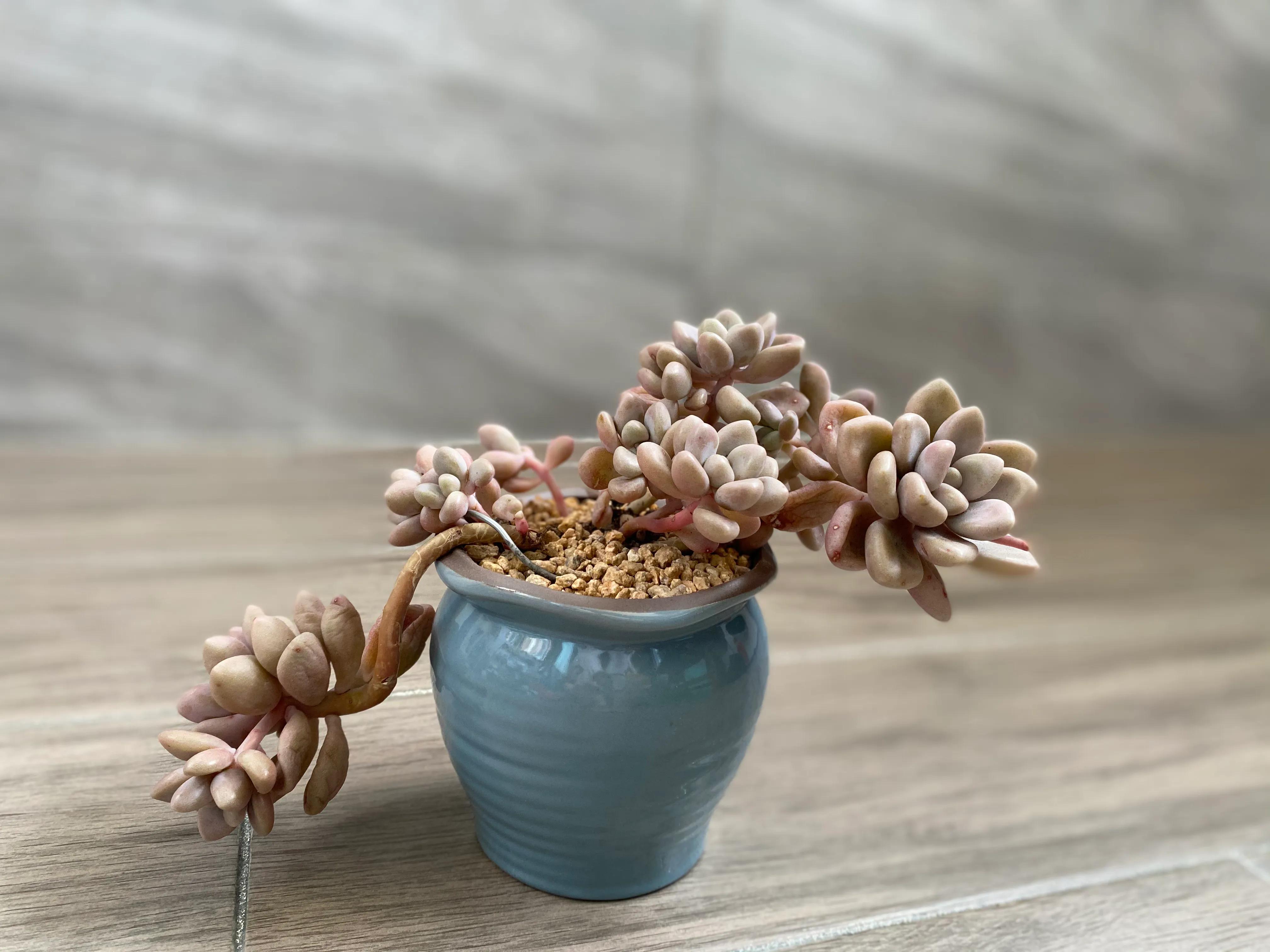 五月的颜色作文,五月的颜色对照表