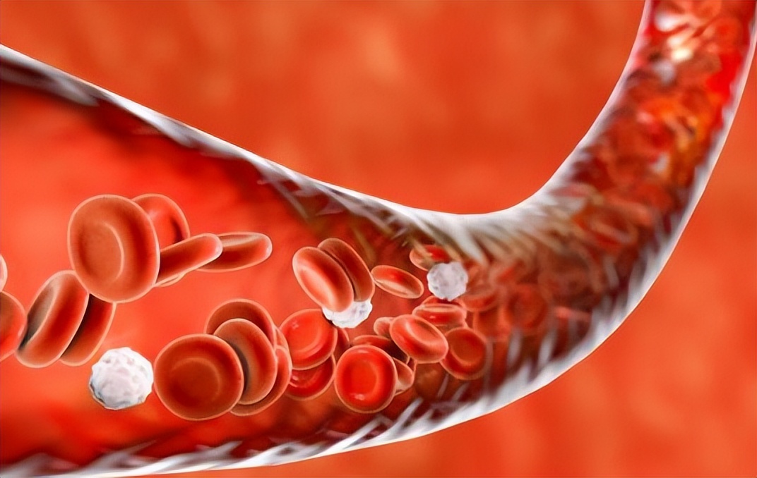 糖尿病肾病患者使用口服降糖药,治疗肾病降尿蛋白效果比较好的药