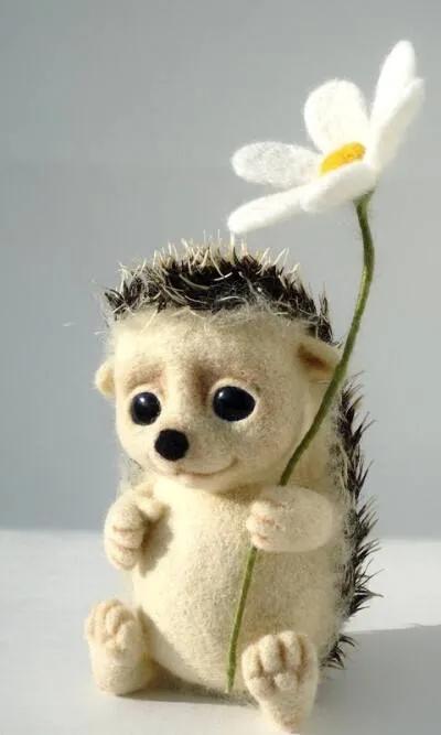 刺猬该怎么拥抱自己,刺猬怎么会有拥抱呢