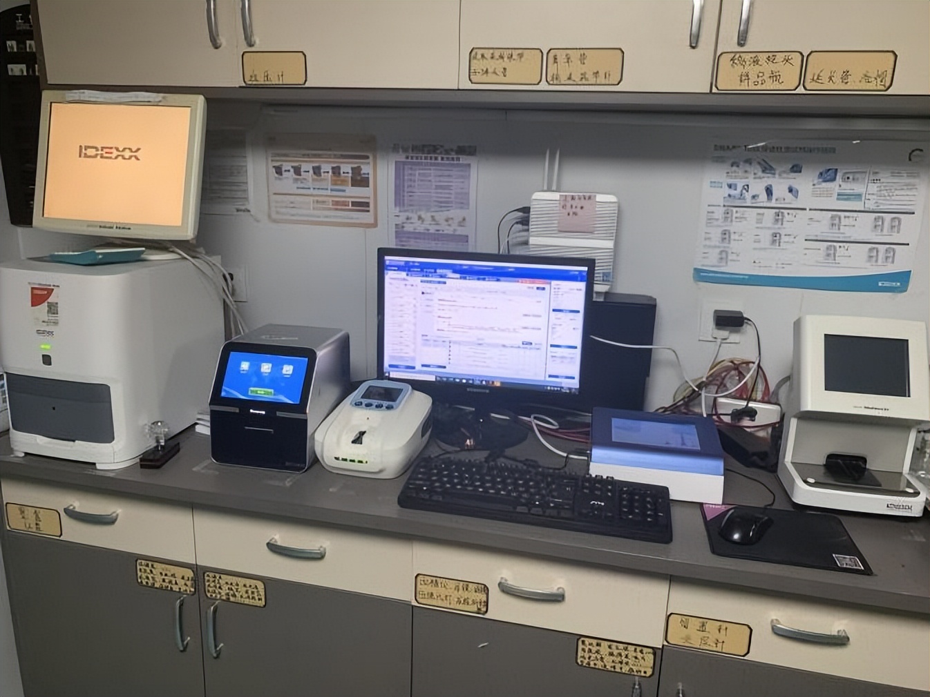 瑞派宠医——张丽|把握与宠主、宠物之间的平衡线