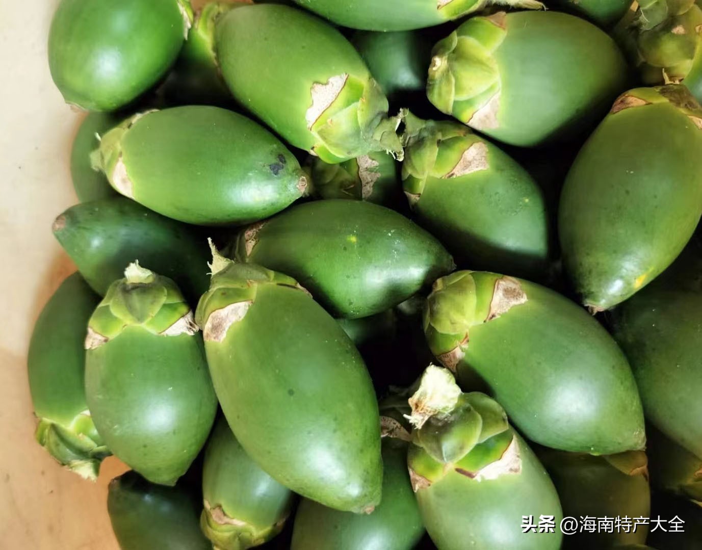 2022海南槟榔青果价格行情 (今天海南槟榔价格)