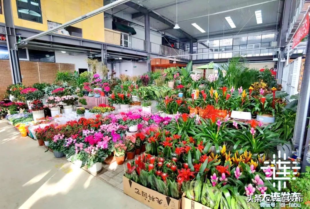 大连旅游必须做的事情,大连皮口港旅游攻略