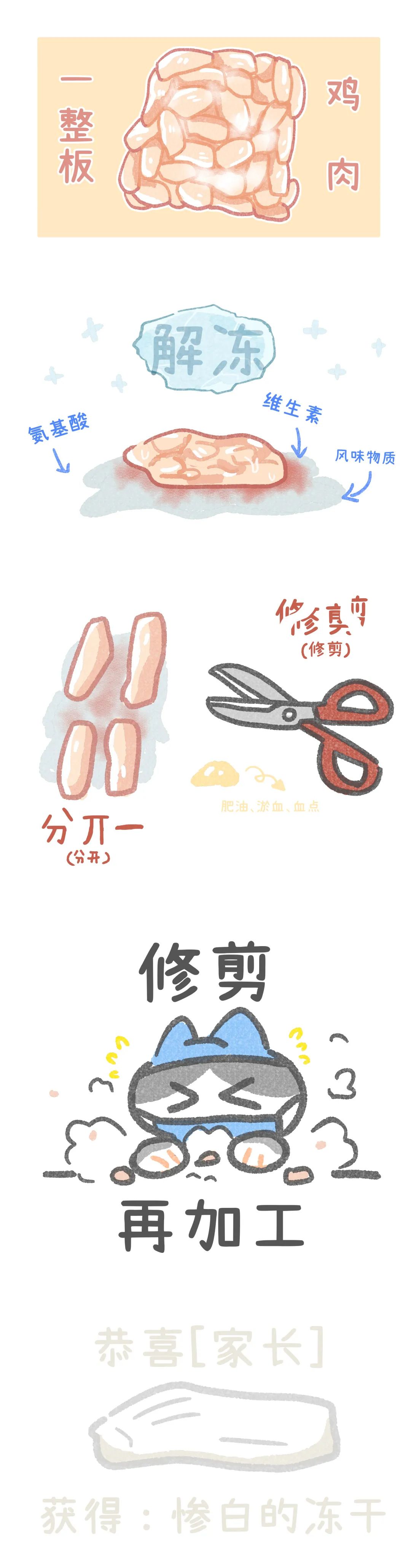 养猫忠告尽量少买华而不实的东西,养猫容易被忽悠买的东西