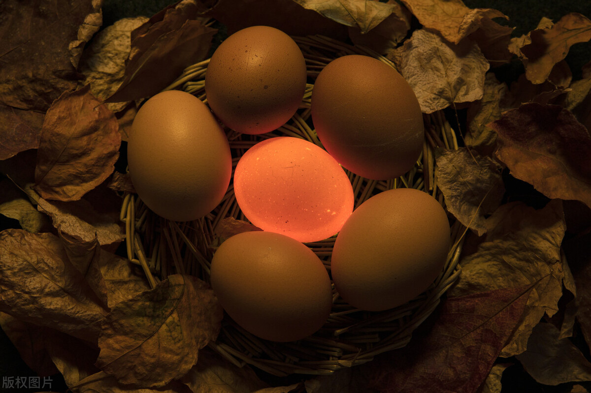 夜明珠真的可以长明不灭吗,夜明珠哪些是最珍贵的