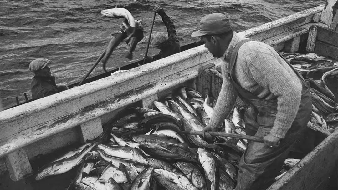 日本群岛附近的世界四大渔场之一,我国四大渔场和四大盐场分布图