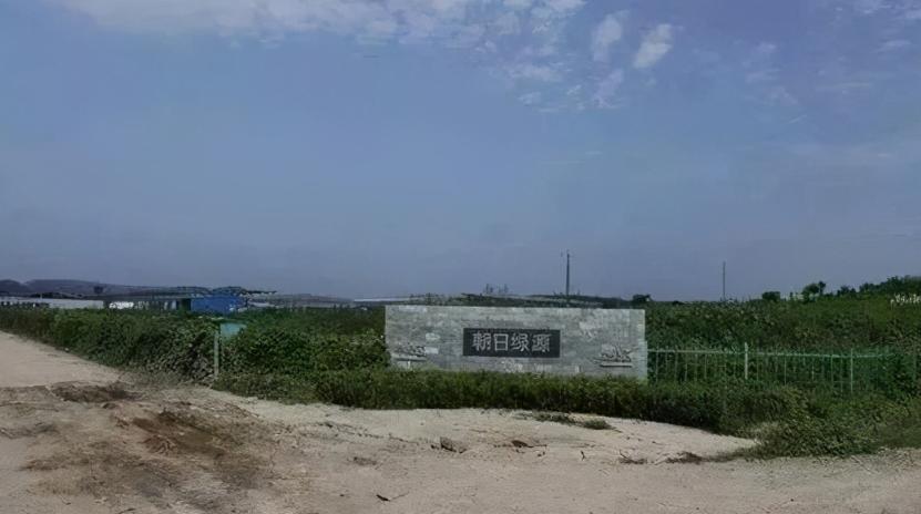 2006年日本企业投资15亿，租下山东1500亩良田，闲置5年杂草丛生