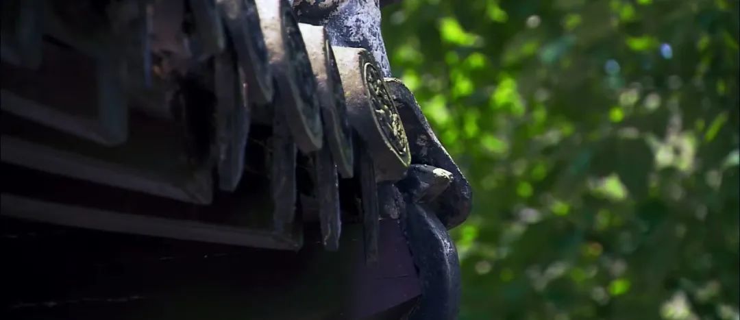 苏轼治愈了我的精神内耗,讲一下苏轼的人生