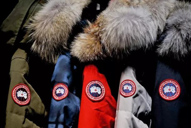 加拿大鹅虚假宣传后续,加拿大鹅暴利