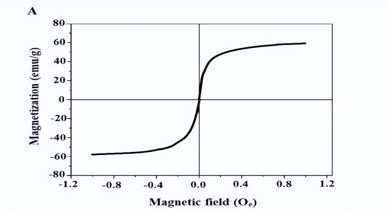 通过Fe3O4纳米复合材料，对水介质中去除Cu和Cd离子进行表征