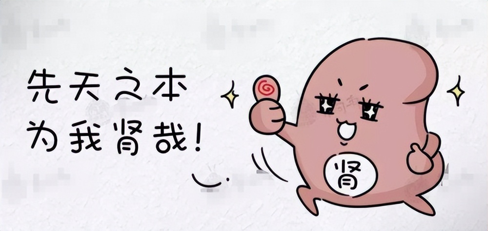 枸杞泡水治肾虚的方法,枸杞治肾虚特效药方