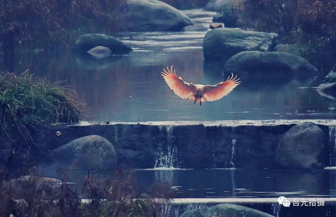 精彩绝伦作品图片,锦言精华作品