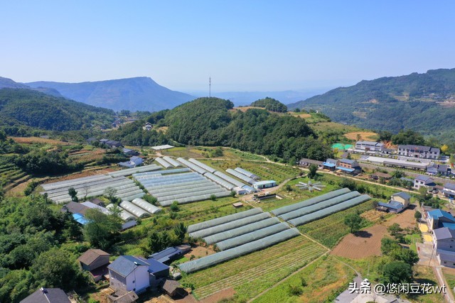 思念是一把刀,思念是一种病