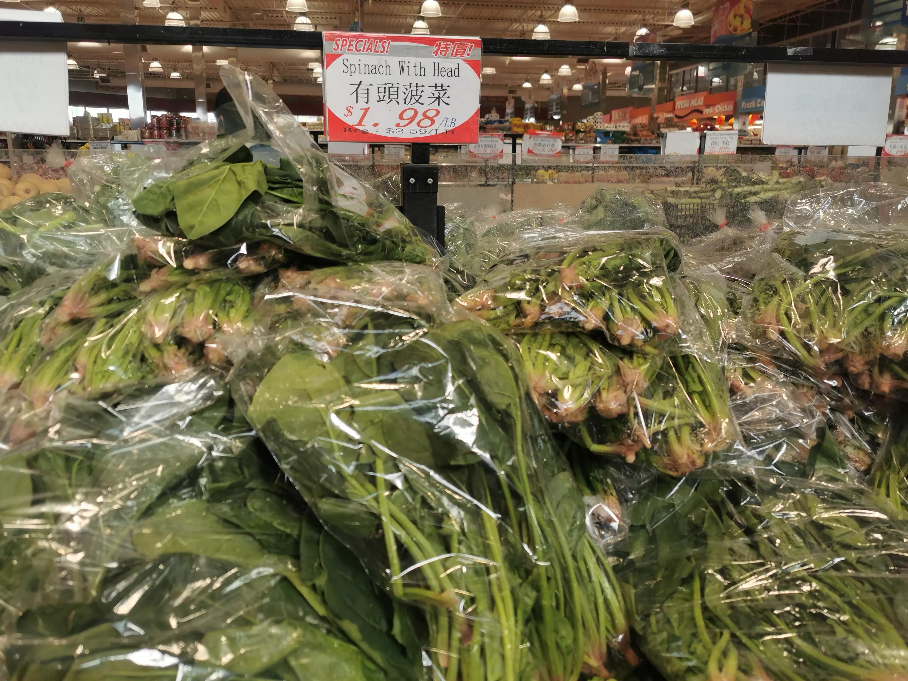 在多伦多吃喝玩乐,在多伦多每天都能干啥