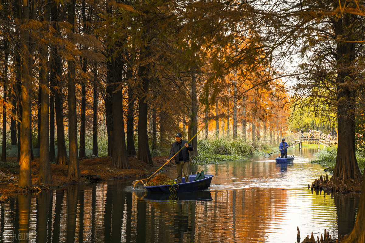 上海国庆值得去玩的地方推荐,上海十一游玩推荐免费