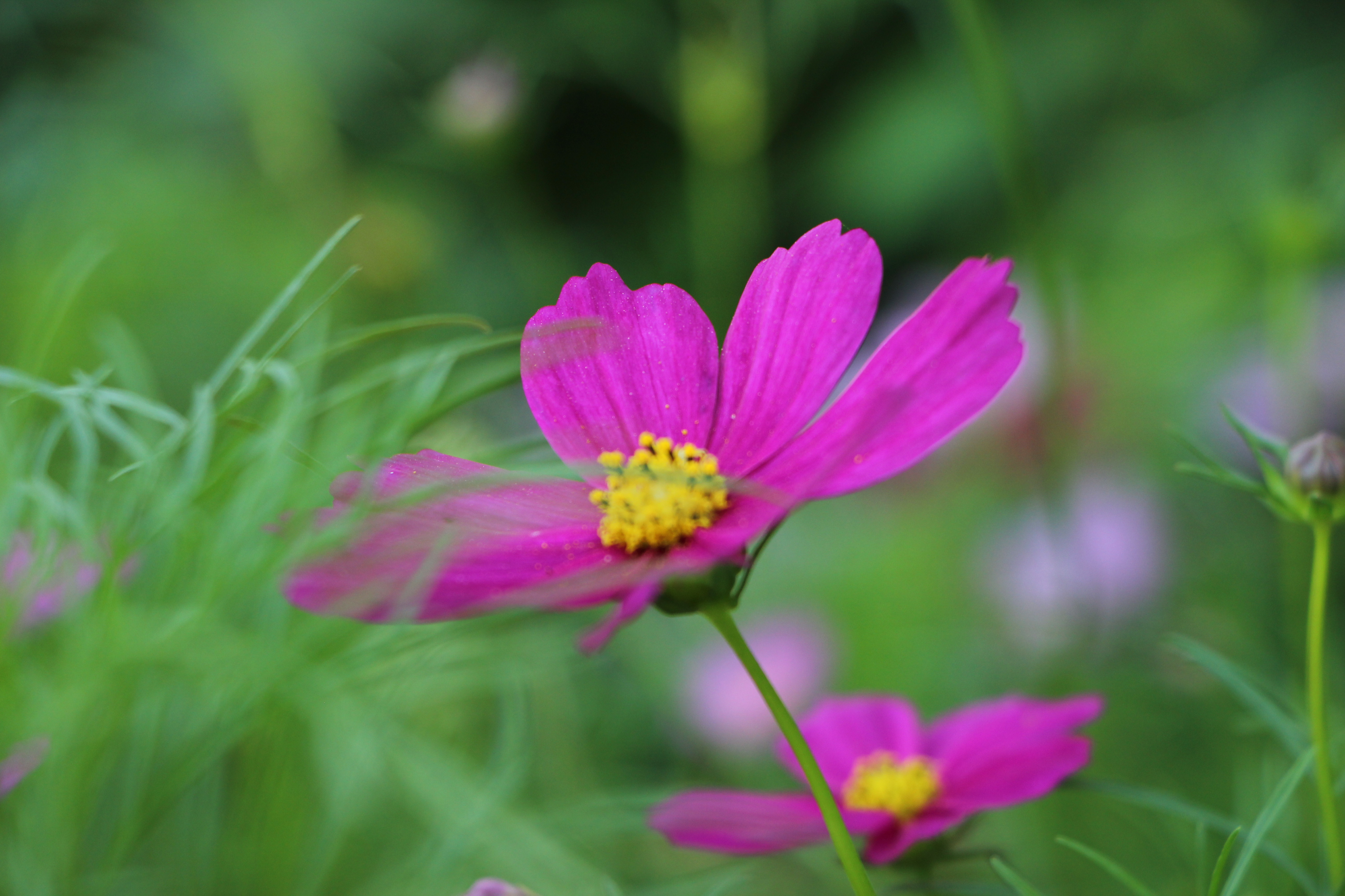 不管谁向你借钱这样回答你就赢了,有人向你借钱三句话高情商拒绝
