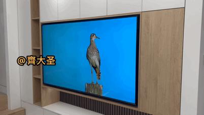 电视收纳柜小户型,小户型电视柜收纳