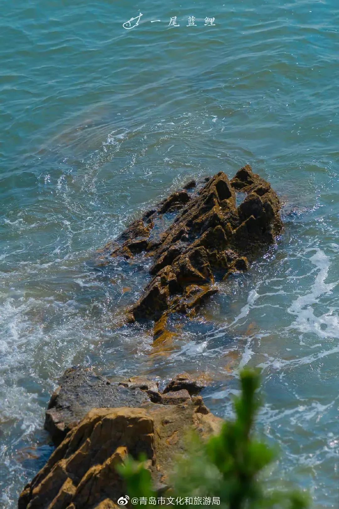 错峰出游黄山观云海,错峰出游的风景