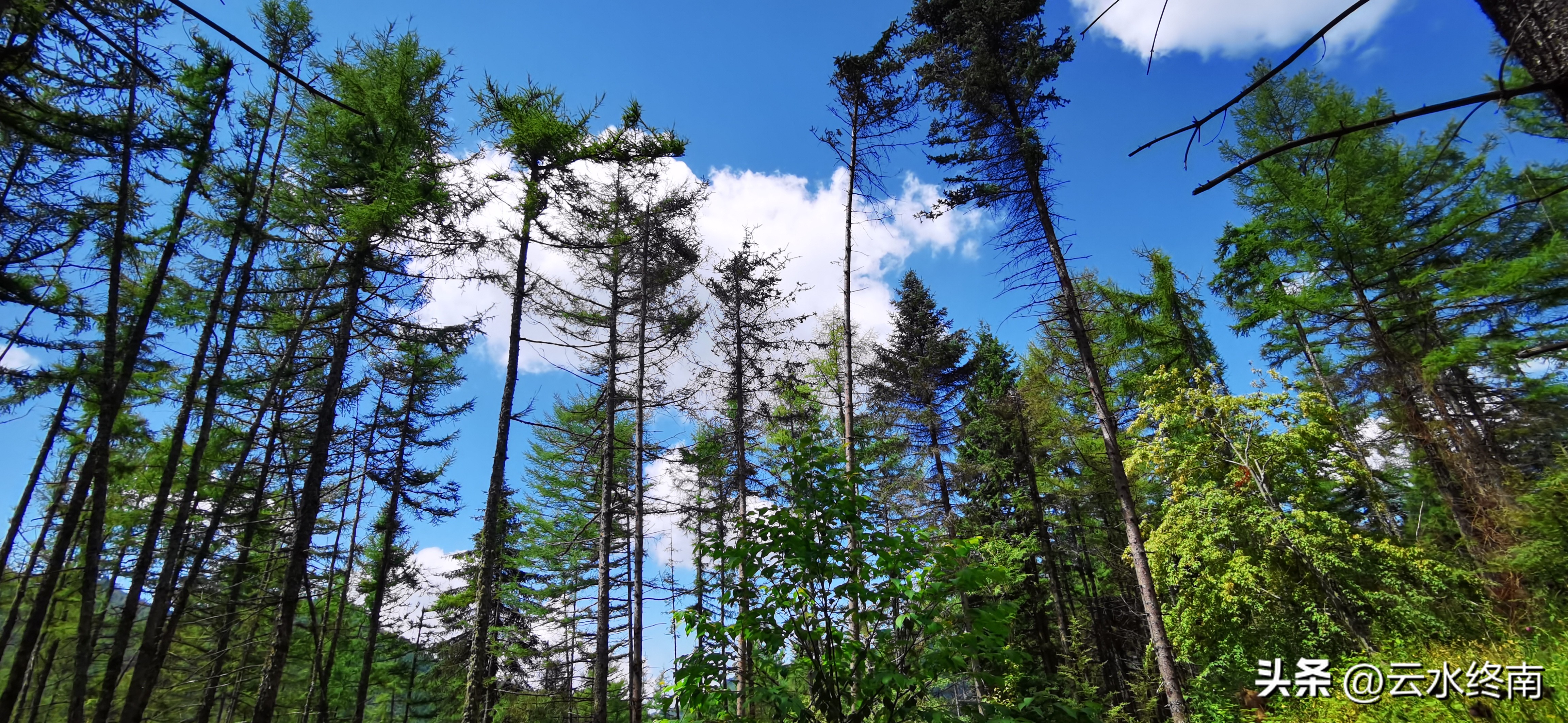 陕南古镇游推荐,陕南七天旅游线路攻略