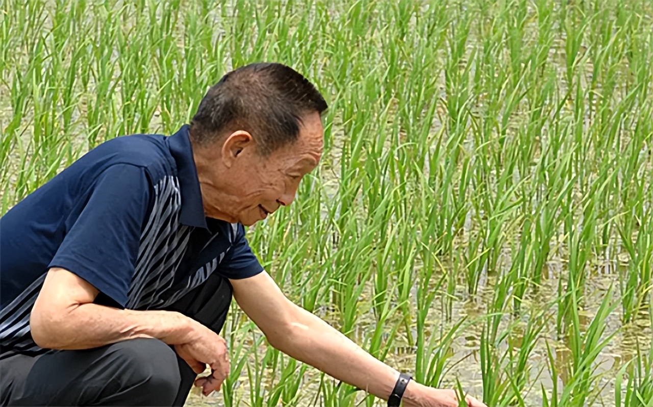 74年*国锋华**衣着朴素参加家长会，工人家长问其贵姓，答：中华的华