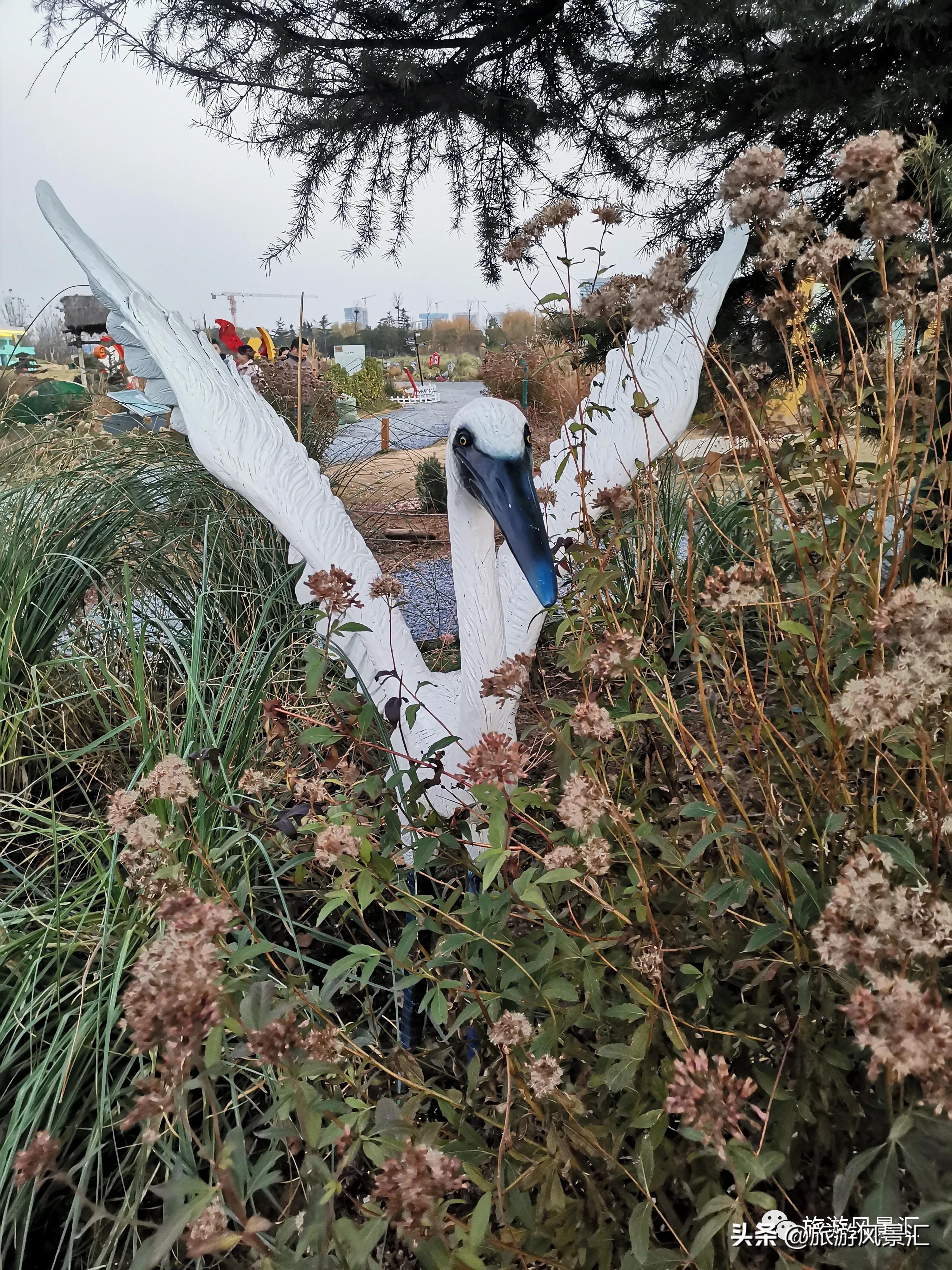 郑州带娃打卡好去处免费公园,郑州北龙湖湿地公园网红打卡圣地