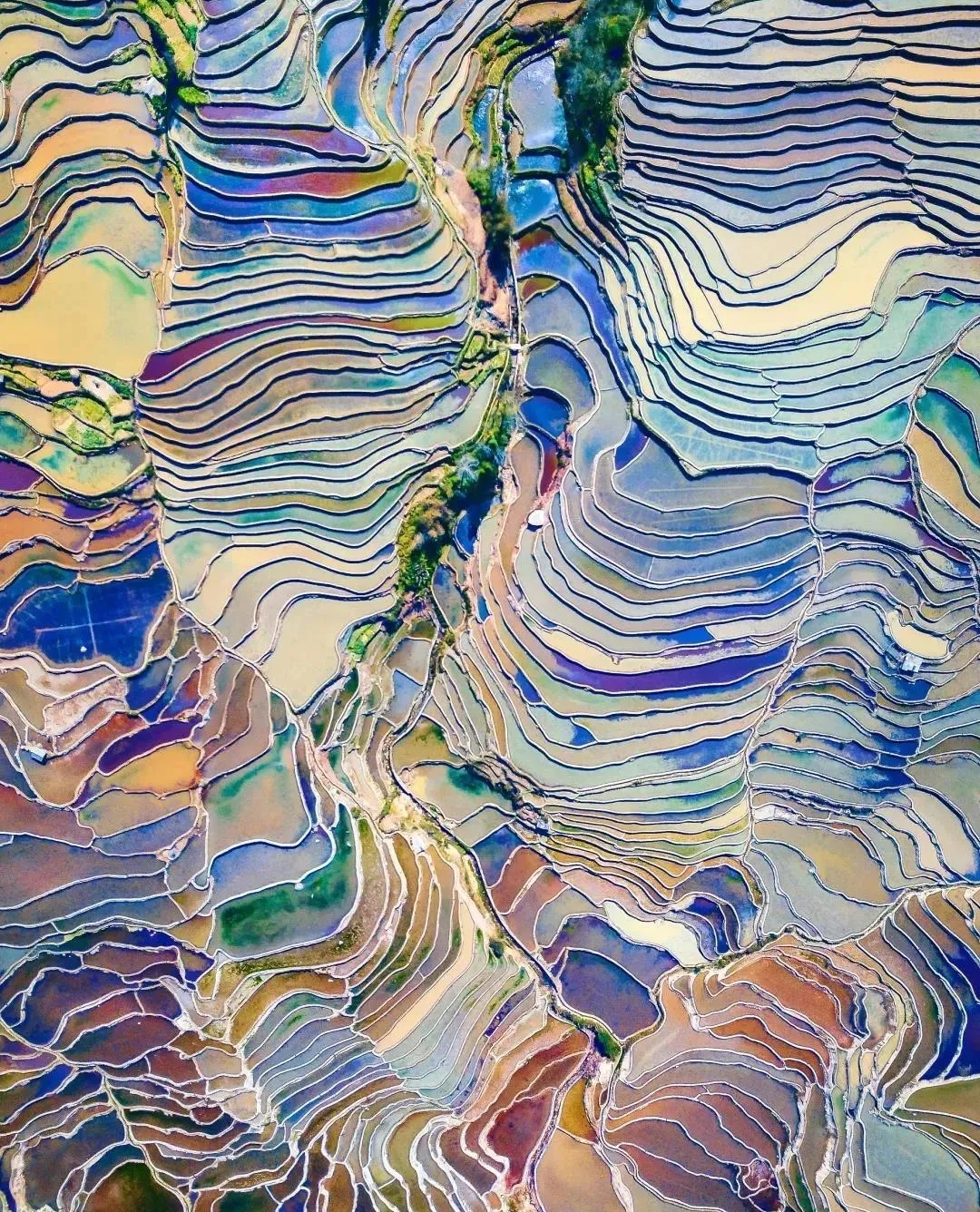 有一种生活叫云南的怒江,有一种生活叫云南生活发布会图片