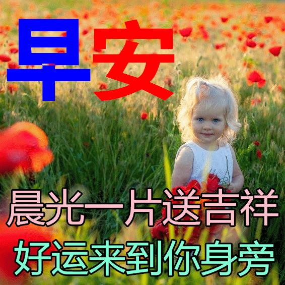 最新最美的早上好问候图片带字,早安问候图片2018年