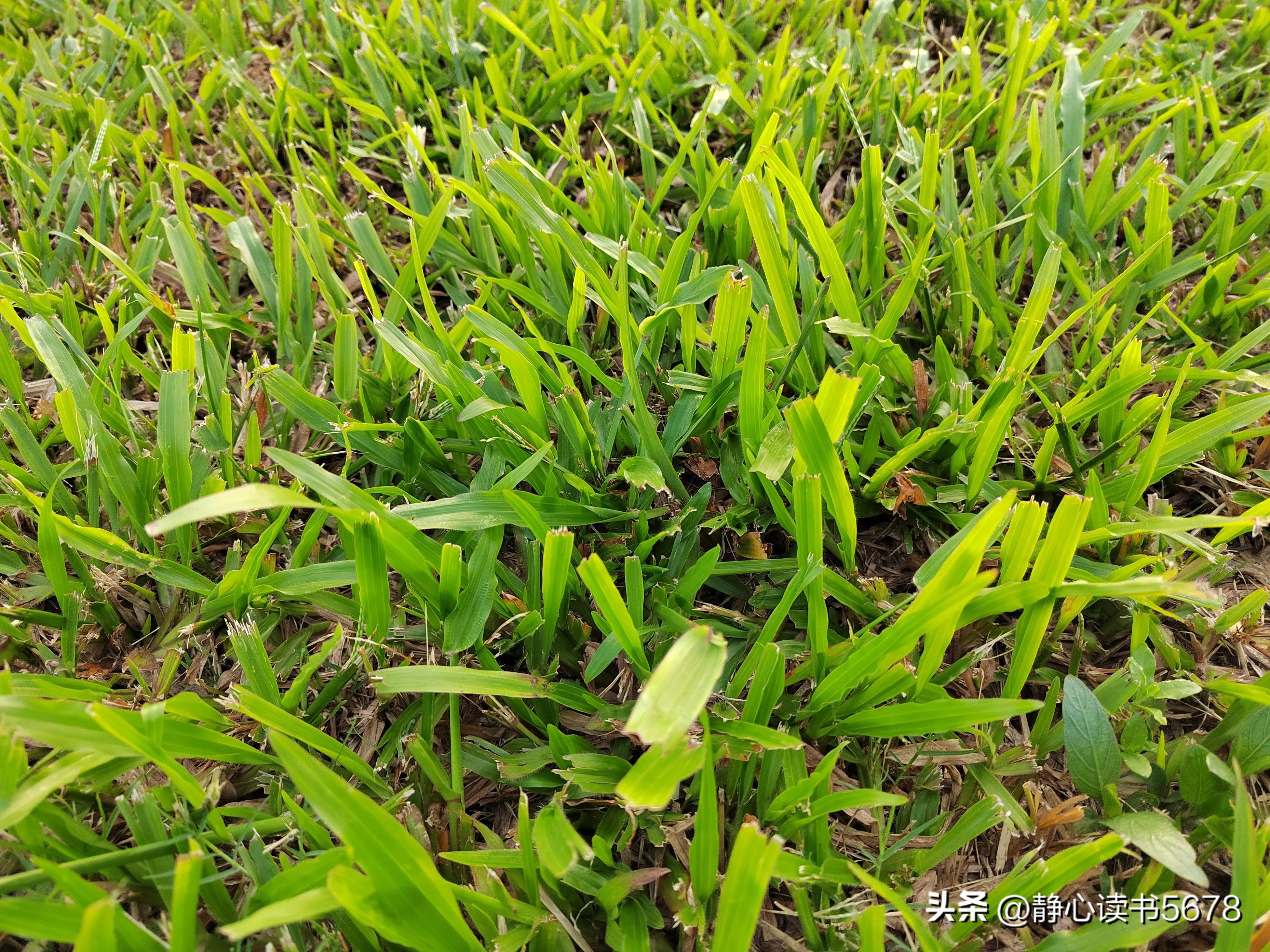 做一个好的生意经典语录,做生意最经典的一句话