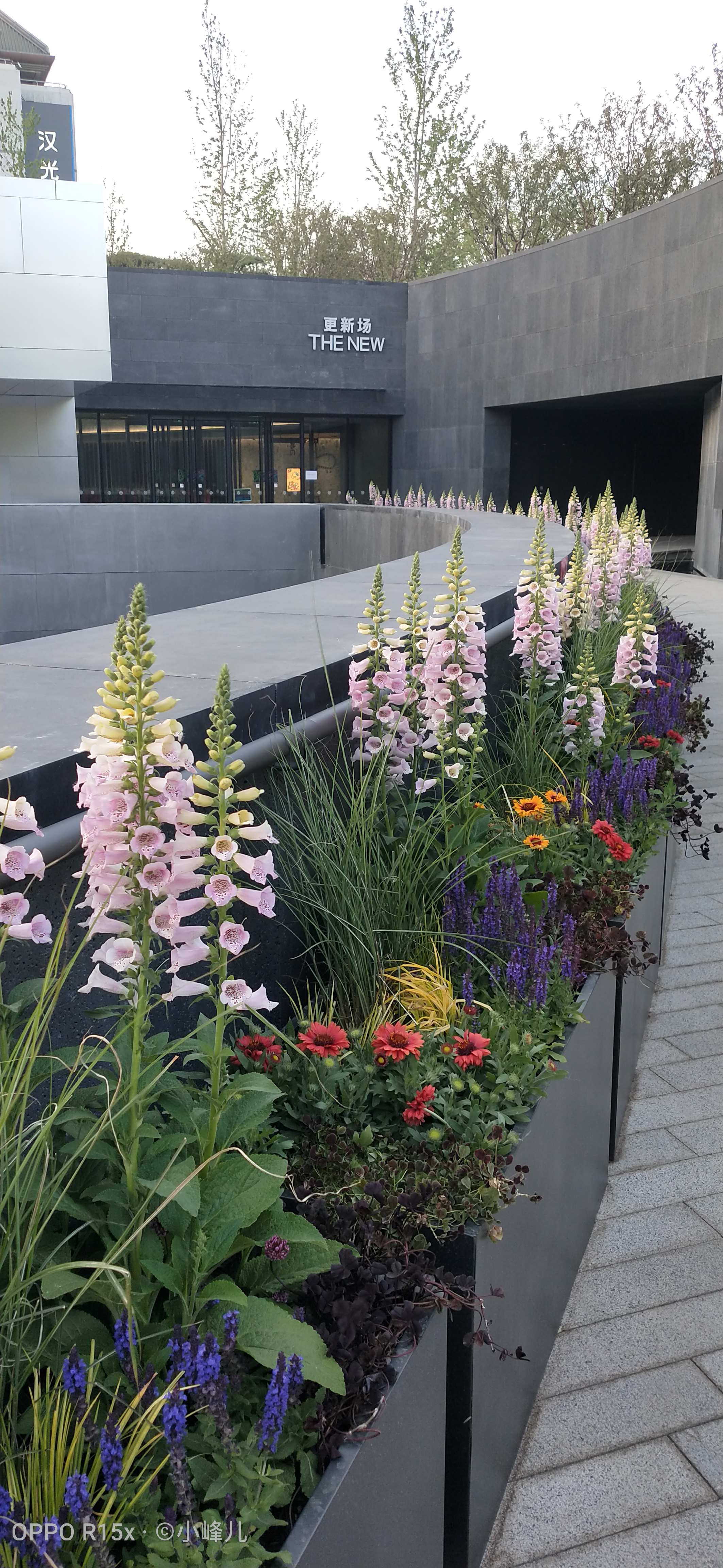 在香港偶遇刘銮雄,在香港偶遇谭咏麟