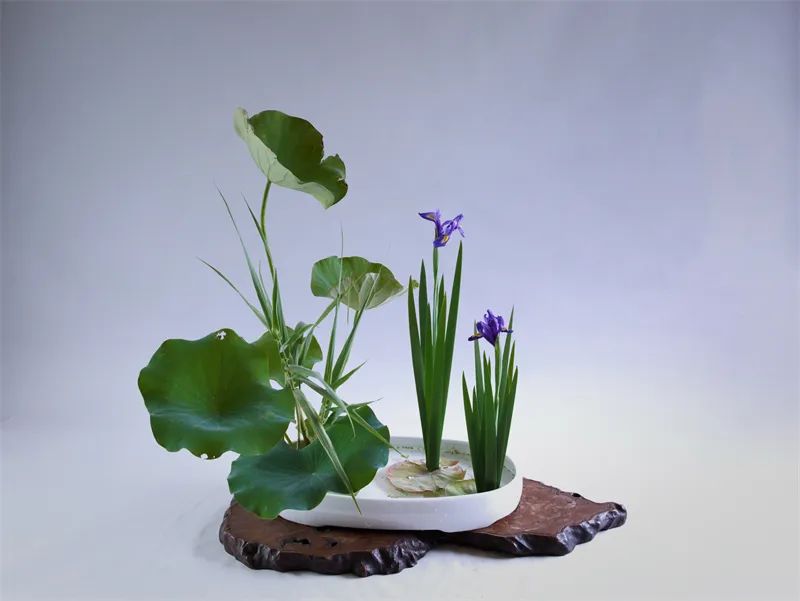 日本顶级禅意插花荷花,日式荷花插花