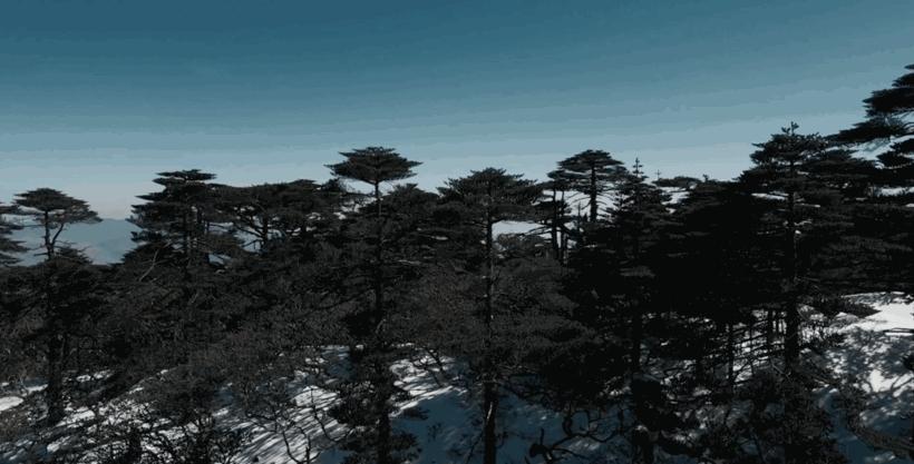 冬季洱海看海鸥最佳地方,这个冬天洱海该有多浪漫