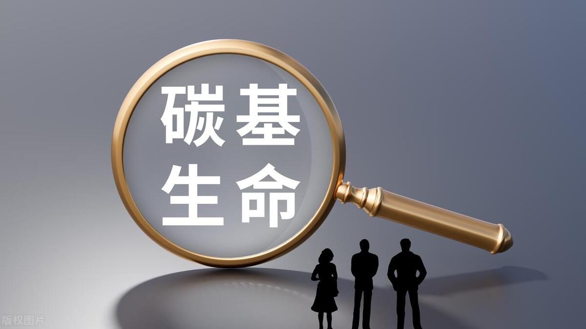 进化论错误怎么回事,进化论真的是错的吗