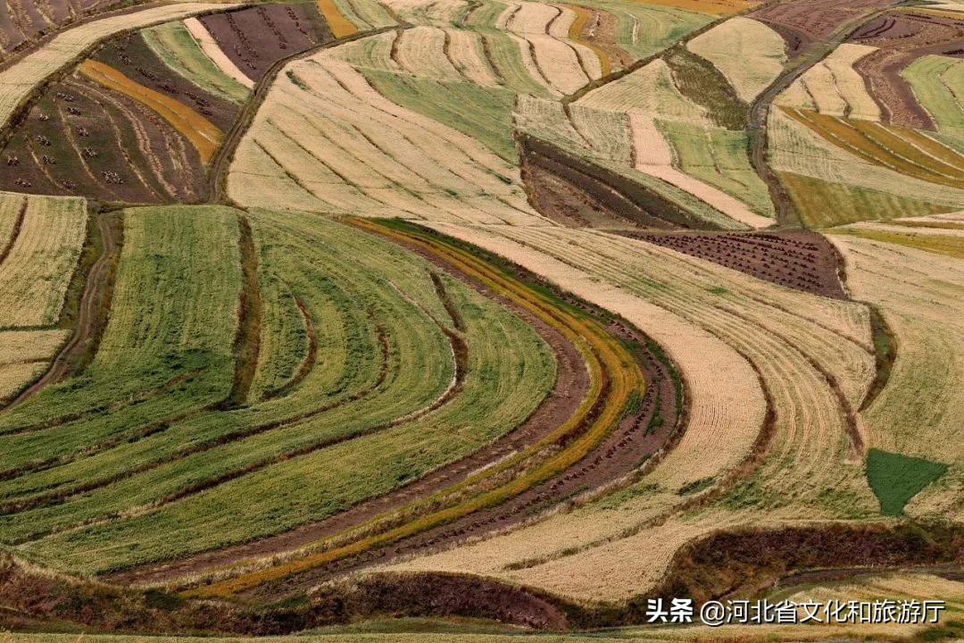 张家口如何从“旱码头”逆袭为“国际张”？