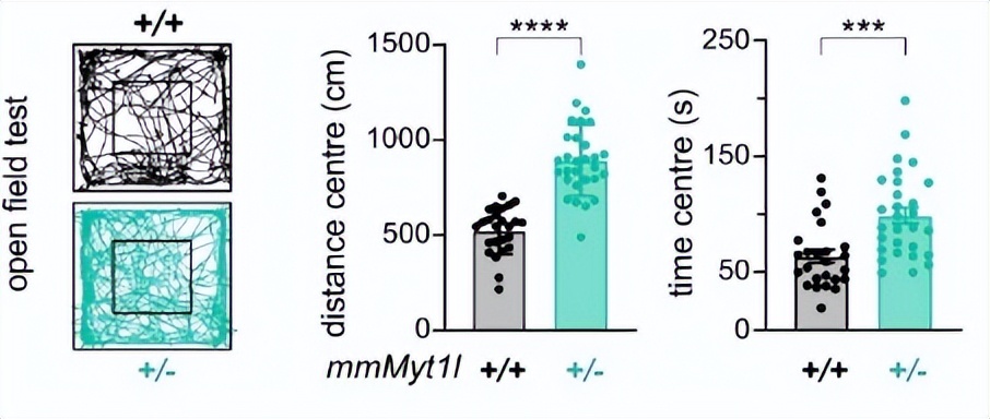癫痫性精神病特效药,关于难治性癫痫的药物研究进展