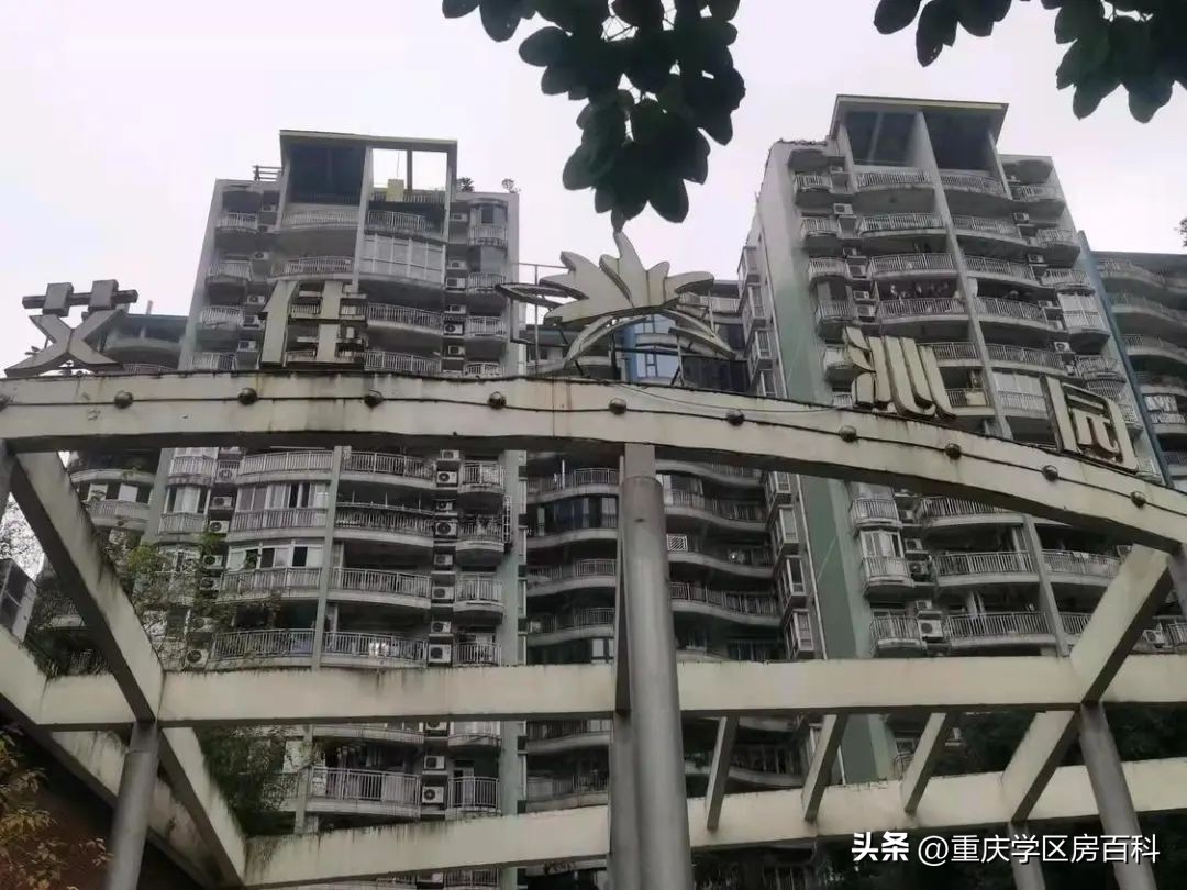 渝北和九龙坡哪个教育资源好,九龙坡教育资源怎么样