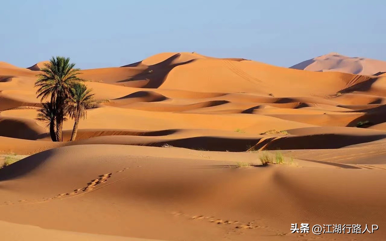 梅西加盟迈阿密国际细节曝光,梅西加盟迈阿密国际4场比赛