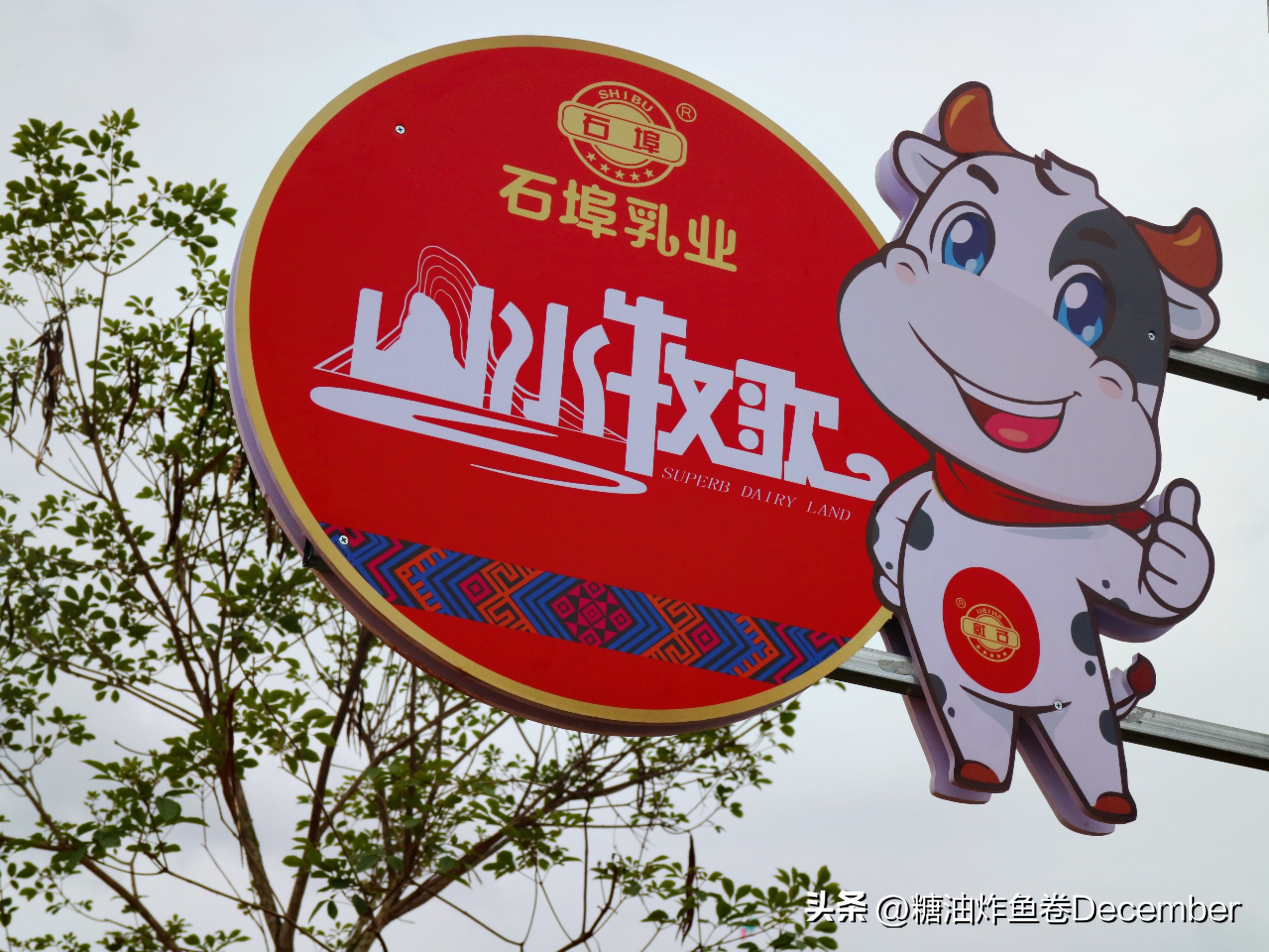 石埠乳业生态观光牧场有限公司,广西石埠乳业生态观光牧场抖音号