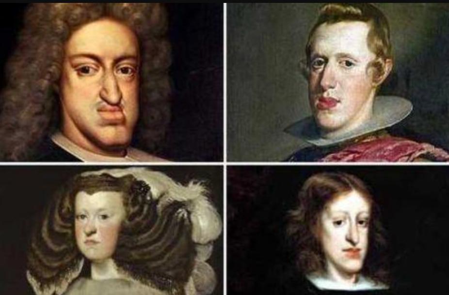 人类禁止*亲近**繁殖，为何要让狗“回交”？甚至品种越纯越好？