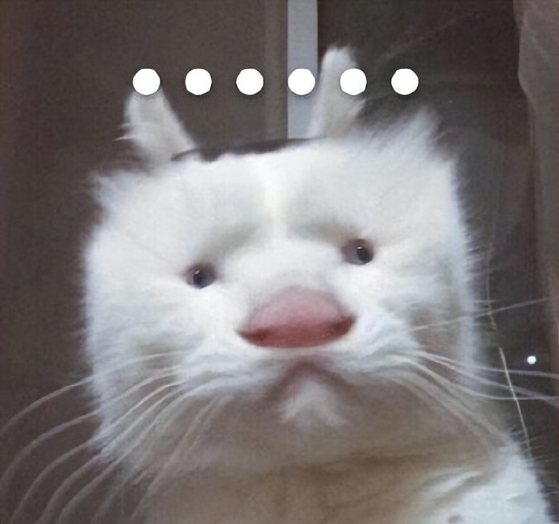 土区steam为什么很贵,现在steam土区还便宜吗