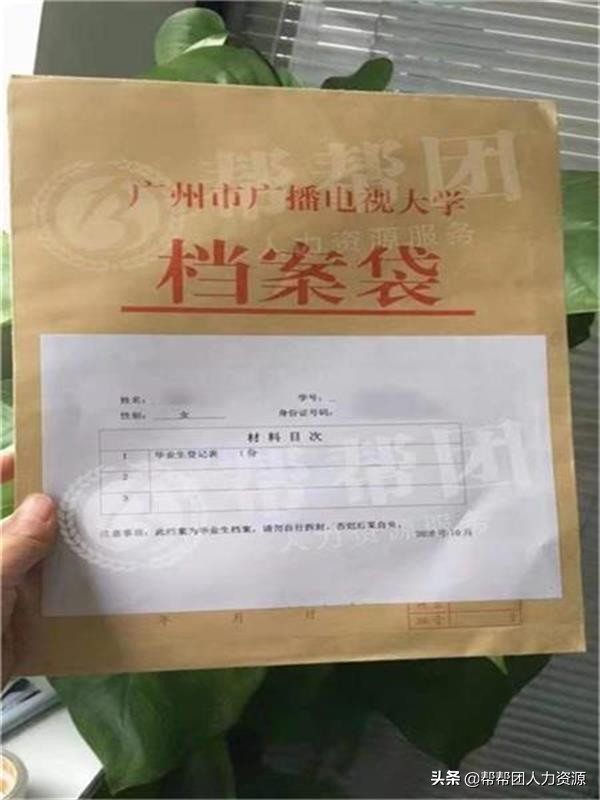 档案不见了怎么办理,档案不见了怎么找回