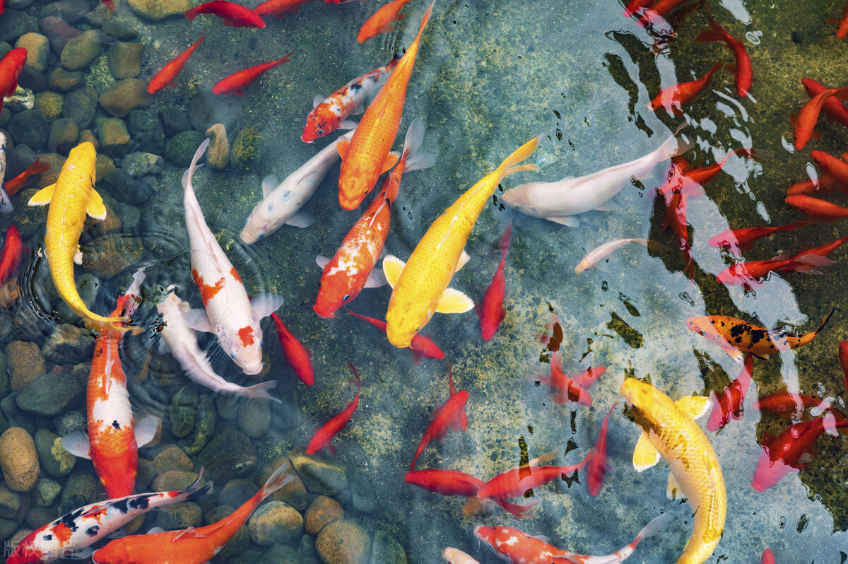 浙江学考成绩公布大概多少时间,学考2023浙江什么时候出答案