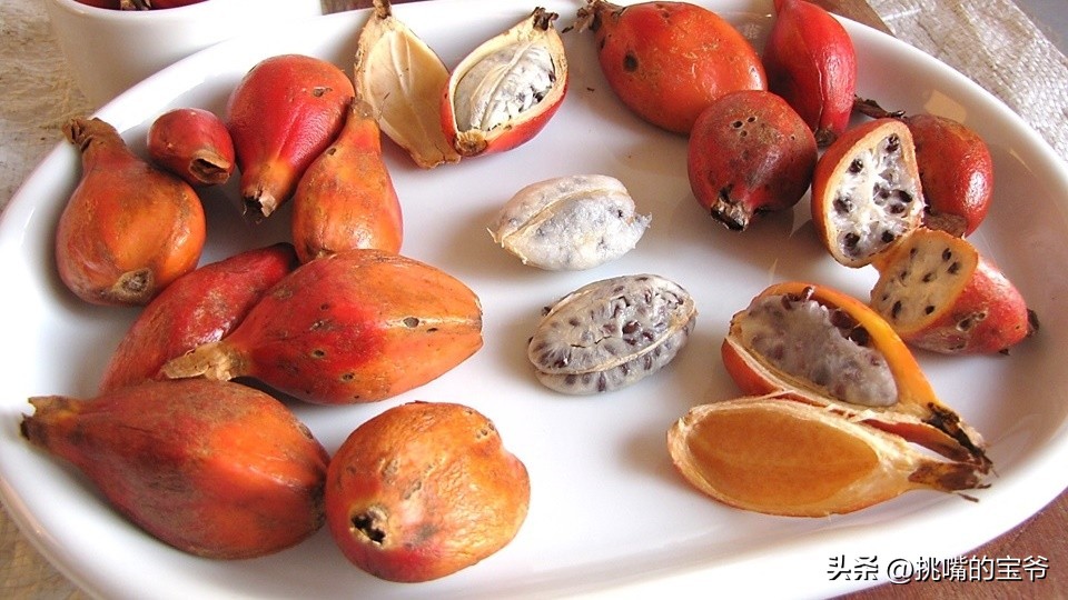 建国首日就与我国建交的非洲穷国，8种罕见水果，你见过几种