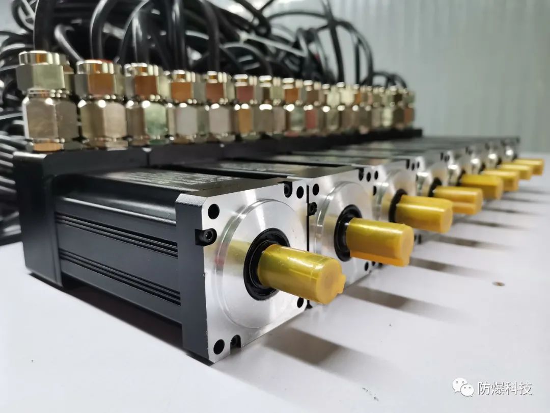 防爆伺服电机产品,伺服电机有防爆电机吗