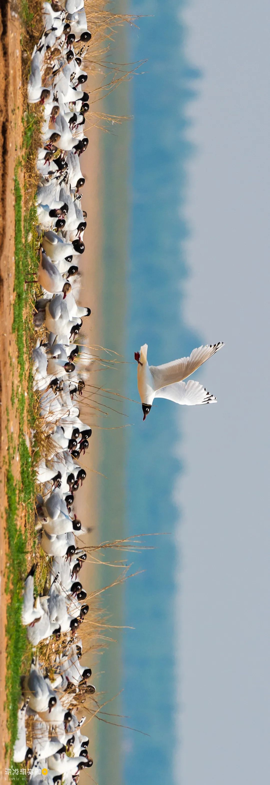 什么鬼城市,煤炭鬼城