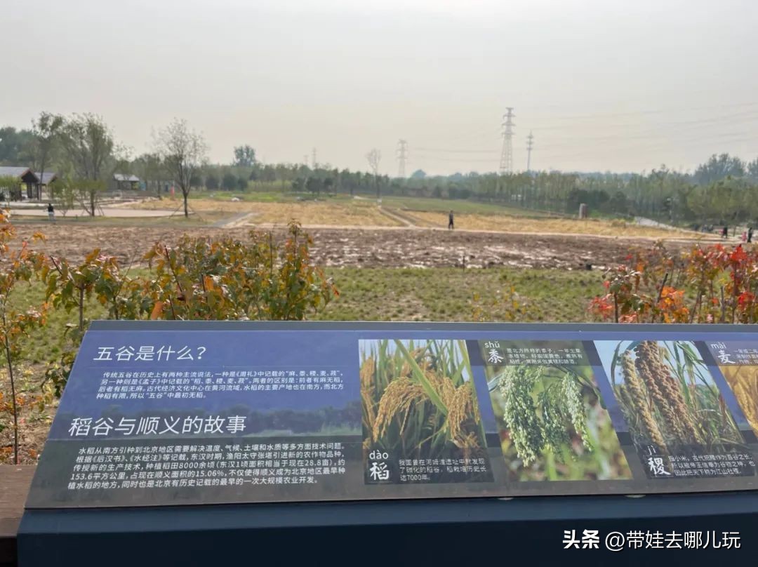 藏在二环的超小众免费公园,免费游玩的小公园