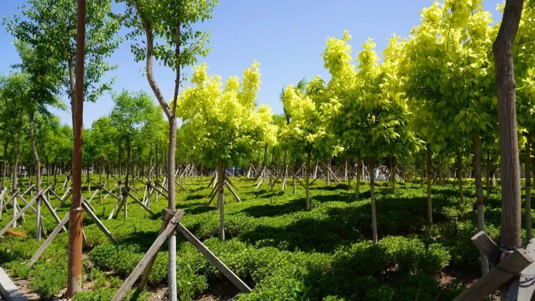 央媒网友热议,央媒密集关注点赞福建